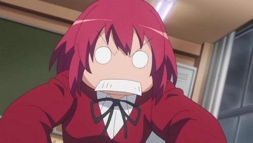 Picture 3 in [Toradora: This week's WTF 2]