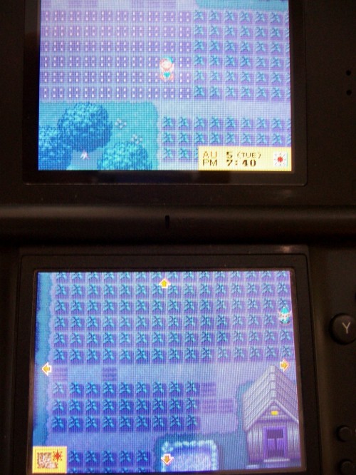 Picture 2 in [Crossplay Frontier and Mad Harvest Moon Farming]