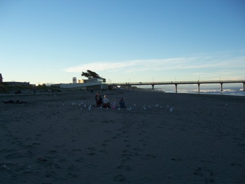 Picture 6 in [New Brighton Beach]