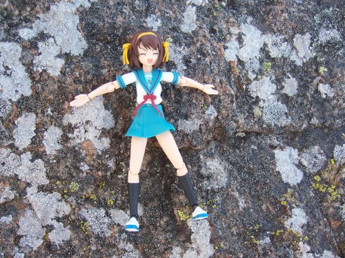 Picture 8 in [Hiking up the hills with Haruhi]