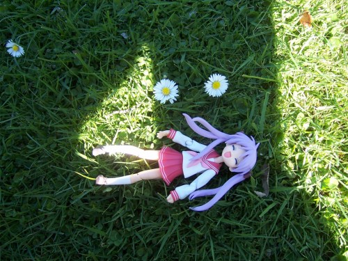 Picture 5 in [Hanami with Kagami]