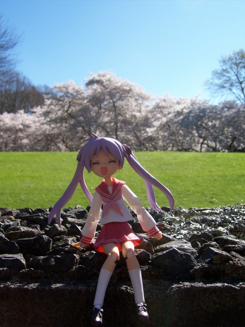 Picture 6 in [Hanami with Kagami]