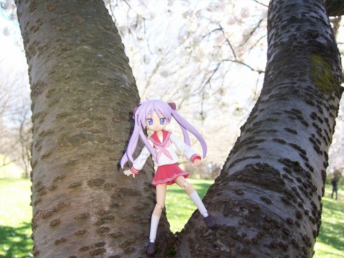 Picture 11 in [Hanami with Kagami]