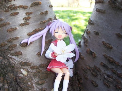 Picture 13 in [Hanami with Kagami]