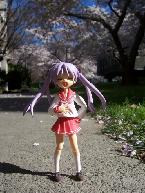 Picture 16 in [Hanami with Kagami]