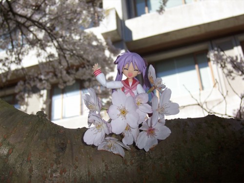 Picture 18 in [Hanami with Kagami]