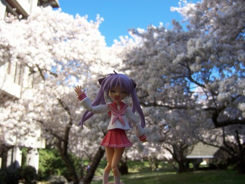 Picture 20 in [Hanami with Kagami]