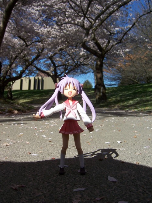 Picture 21 in [Hanami with Kagami]