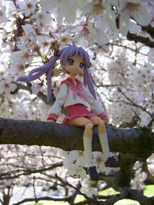 Picture 23 in [Hanami with Kagami]