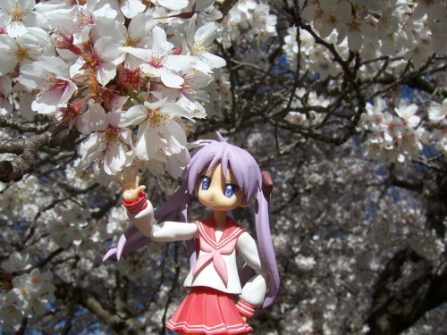 Picture 25 in [Hanami with Kagami]