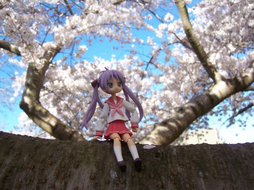 Picture 27 in [Hanami with Kagami]