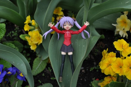 Picture 5 in [Flower Garden with Kagami]