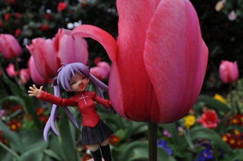 Picture 4 in [Flower Garden with Kagami]