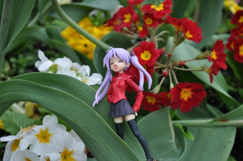 Picture 6 in [Flower Garden with Kagami]