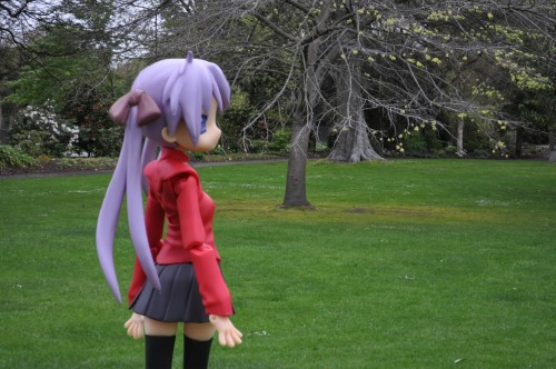 Picture 15 in [Flower Garden with Kagami]