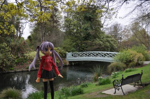 Picture 21 in [Flower Garden with Kagami]