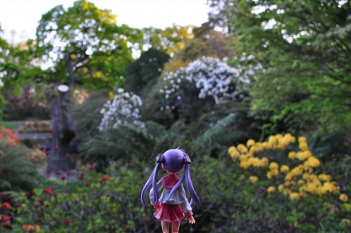 Picture 16 in [Yet Another Flower Garden With Kagami]