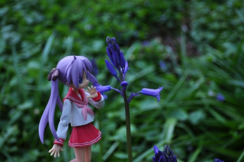 Picture 21 in [Yet Another Flower Garden With Kagami]