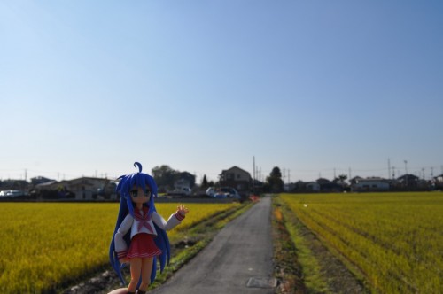 Picture 27 in [Lucky Star Pilgrimage: The Journey to Kasukabe]