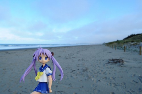 Picture 17 in [The Beach in Summer]