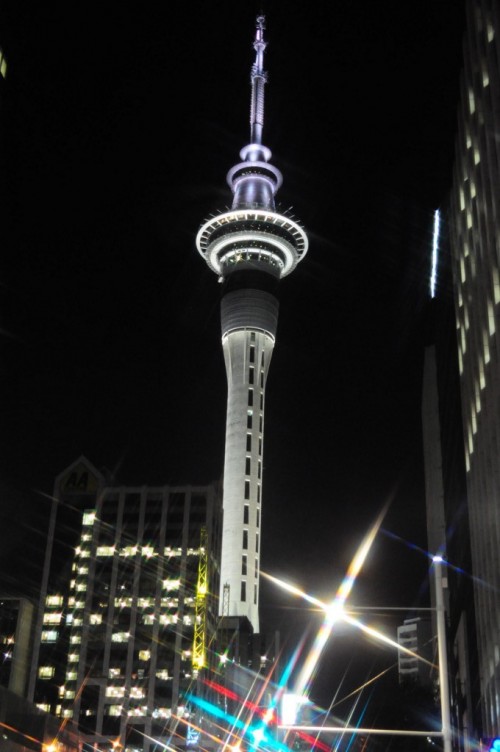 Picture 17 in [Trip to Auckland]