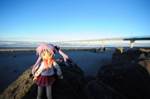 Picture 2 in [New Brighton Beach ~After~]