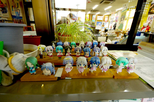 Picture 11 in [Kagami and Tsukasa's birthday at Washinomiya Shrine]
