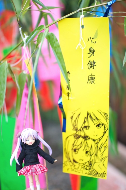 Picture 12 in [Kagami Birthday Shrine Visit]