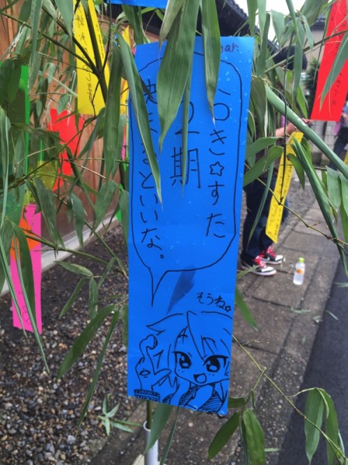 Picture 17 in [Kagami Birthday Shrine Visit]