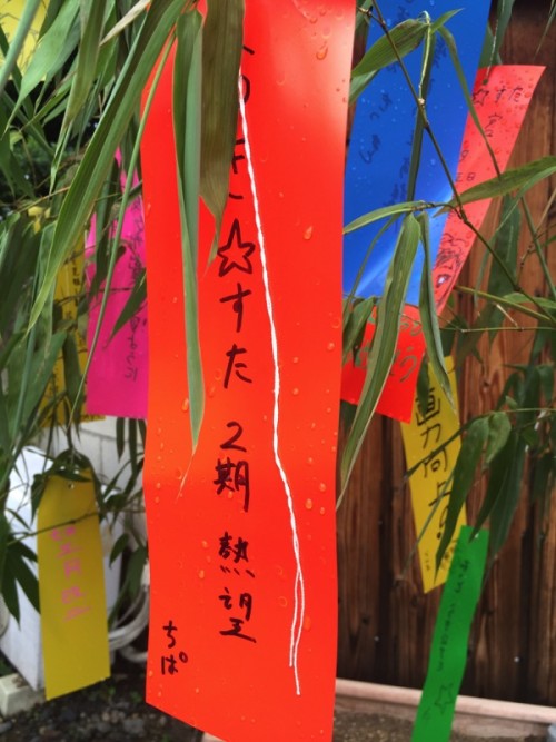 Picture 16 in [Kagami Birthday Shrine Visit]
