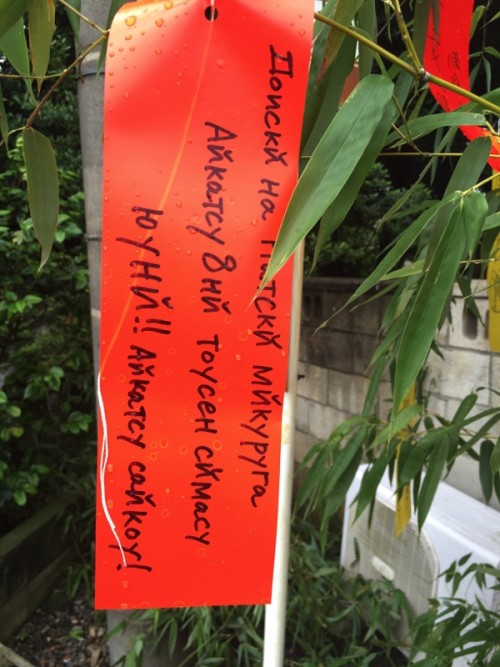 Picture 15 in [Kagami Birthday Shrine Visit]