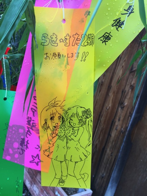 Picture 14 in [Kagami Birthday Shrine Visit]
