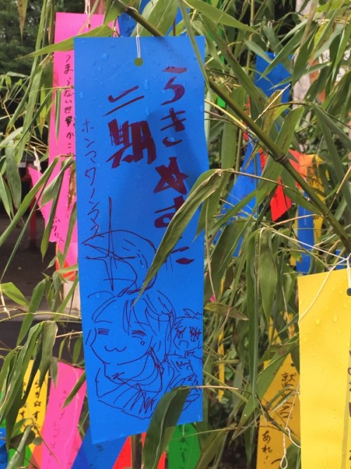 Picture 13 in [Kagami Birthday Shrine Visit]