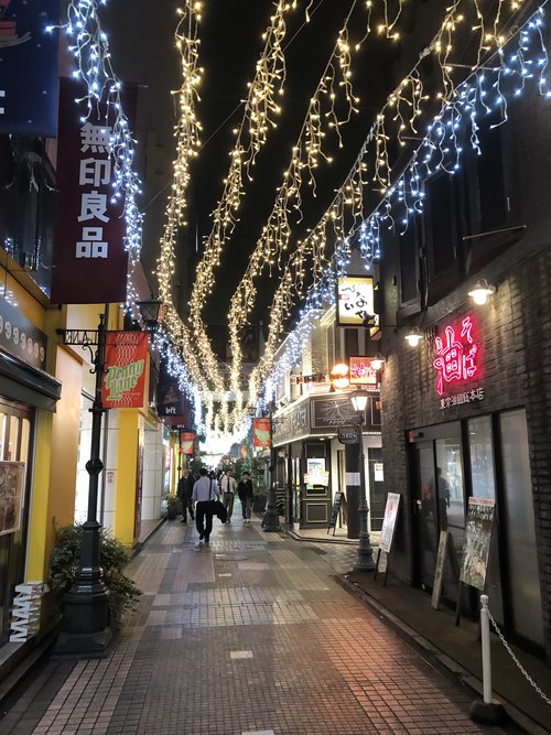 Picture 5 in [Christmas Illuminations in Japan]